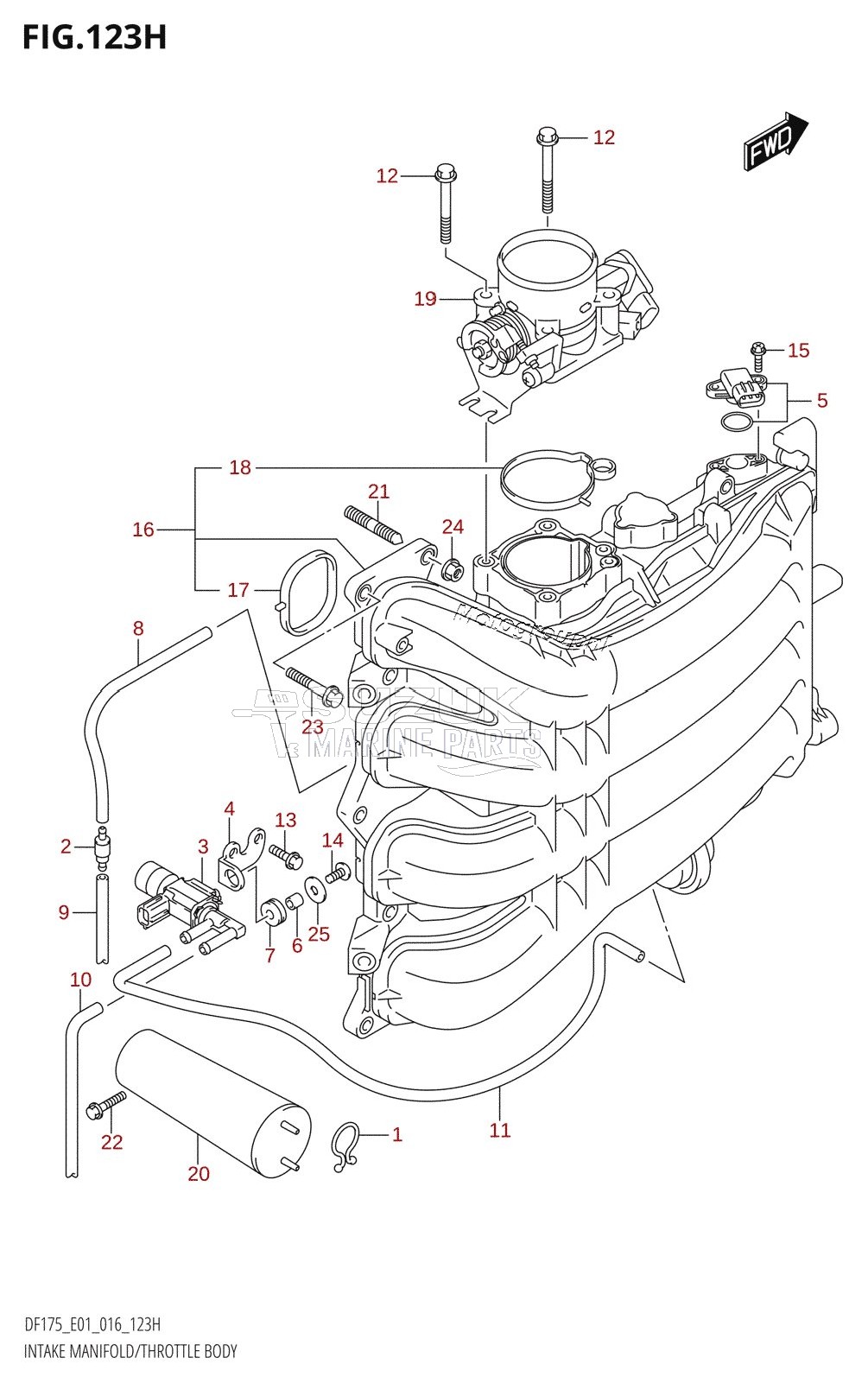 INTAKE MANIFOLD /​ THROTTLE BODY (DF150ZG:E40)