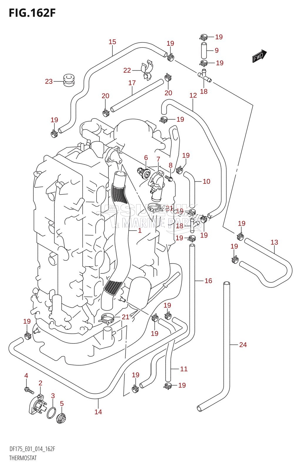 THERMOSTAT (DF150Z:E40)