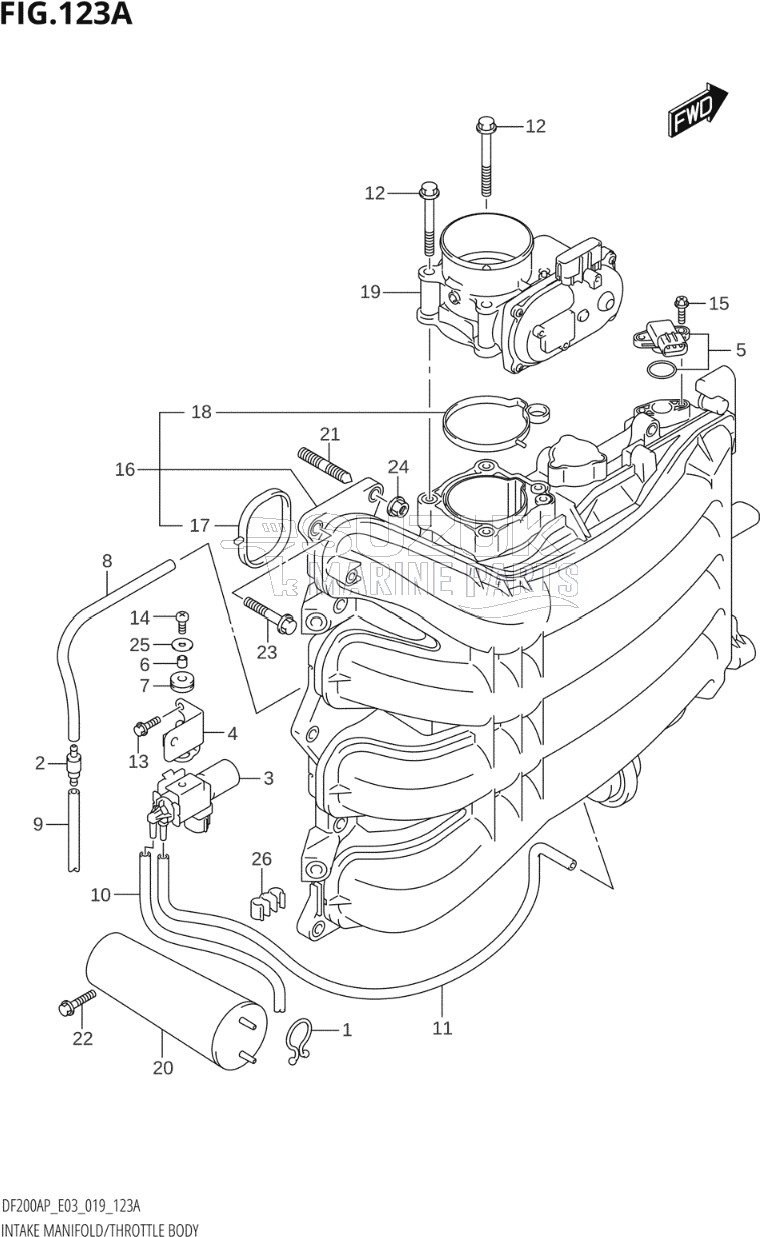 INTAKE MANIFOLD / THROTTLE BODY