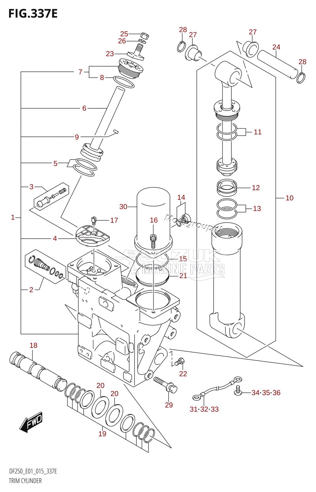 TRIM CYLINDER (DF225T:E01:(X-TRANSOM,XX-TRANSOM))