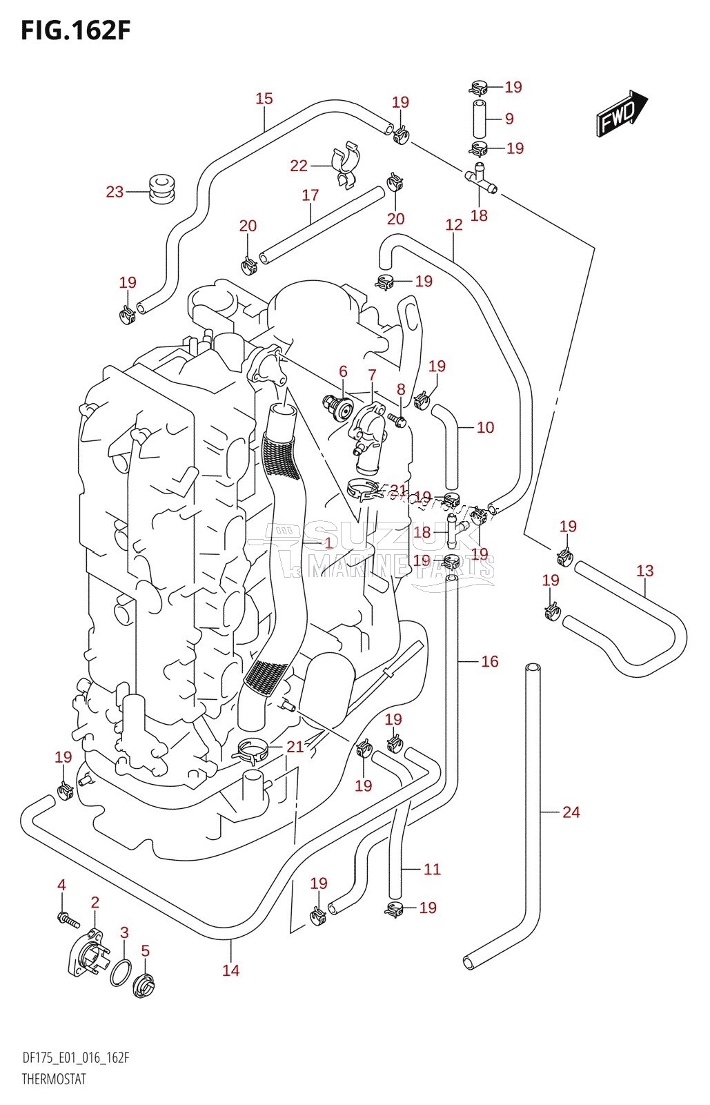 THERMOSTAT (DF150Z:E40)