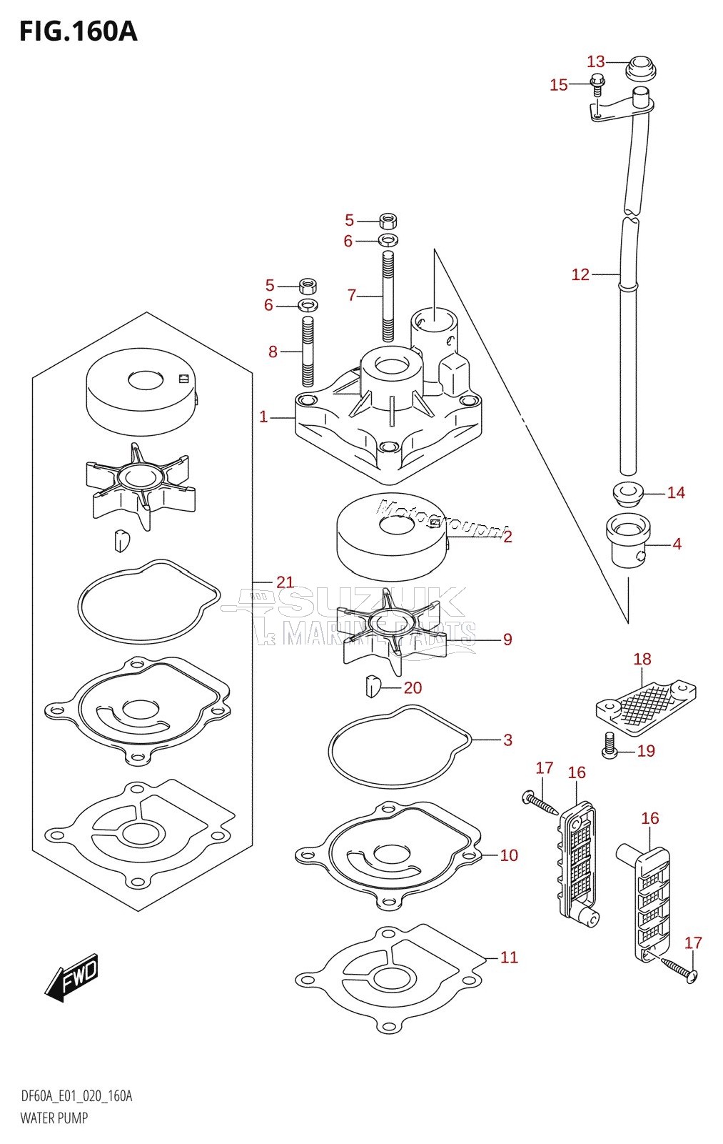 WATER PUMP (DF40A:E01,DF40AST:E34,DF50A:E01)