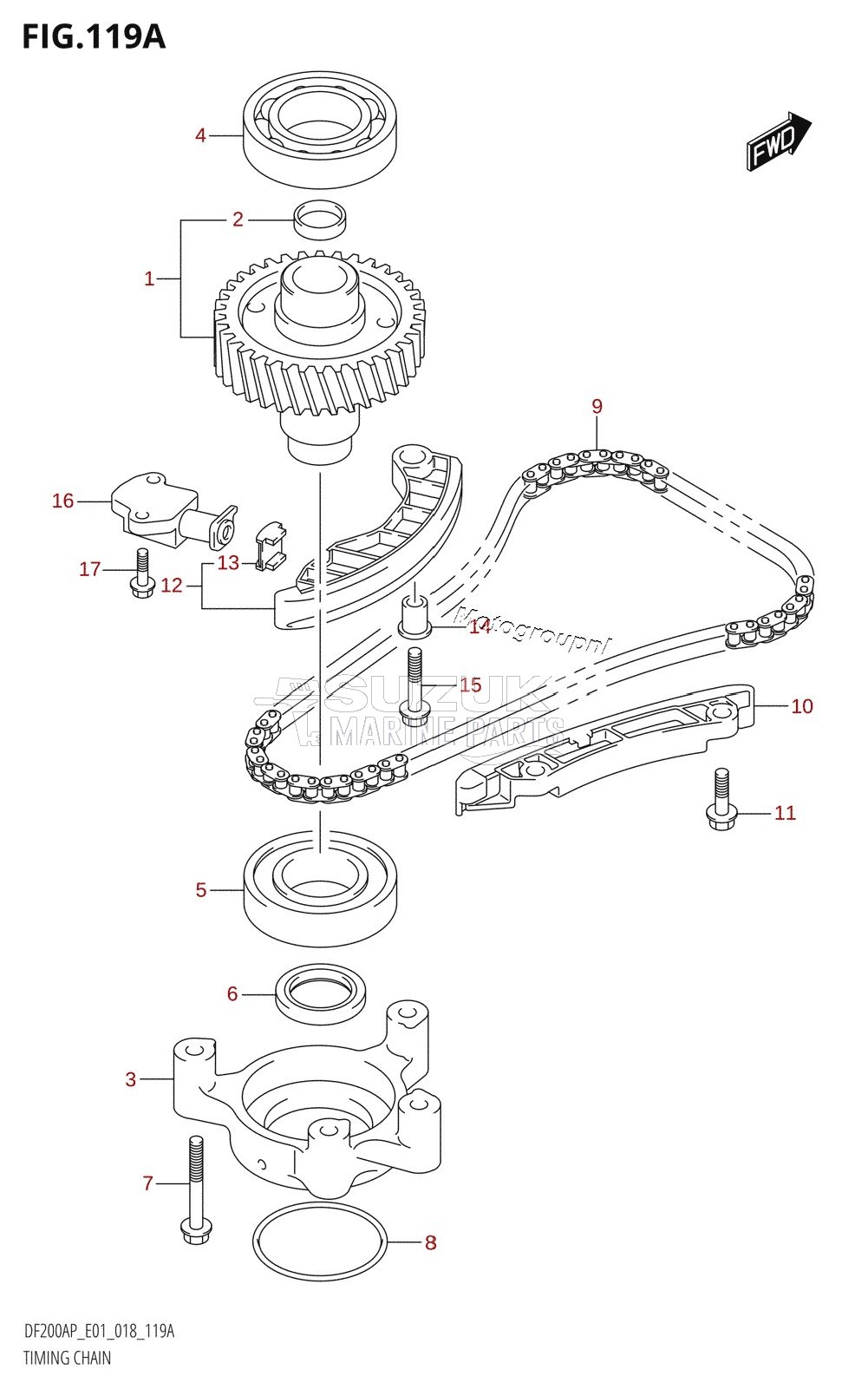 TIMING CHAIN