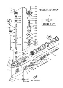 F150AETL drawing PROPELLER-HOUSING-AND-TRANSMISSION-1