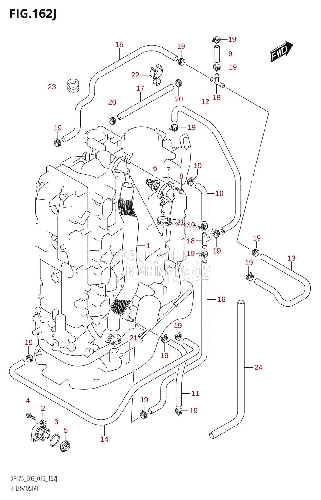 THERMOSTAT (DF150ST:E03)