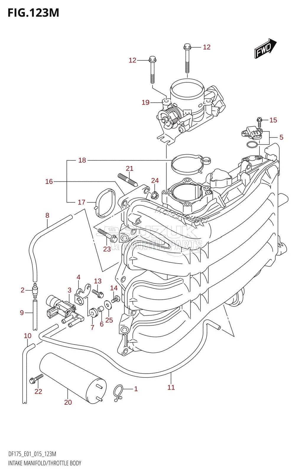 INTAKE MANIFOLD /​ THROTTLE BODY (DF175TG:E40)