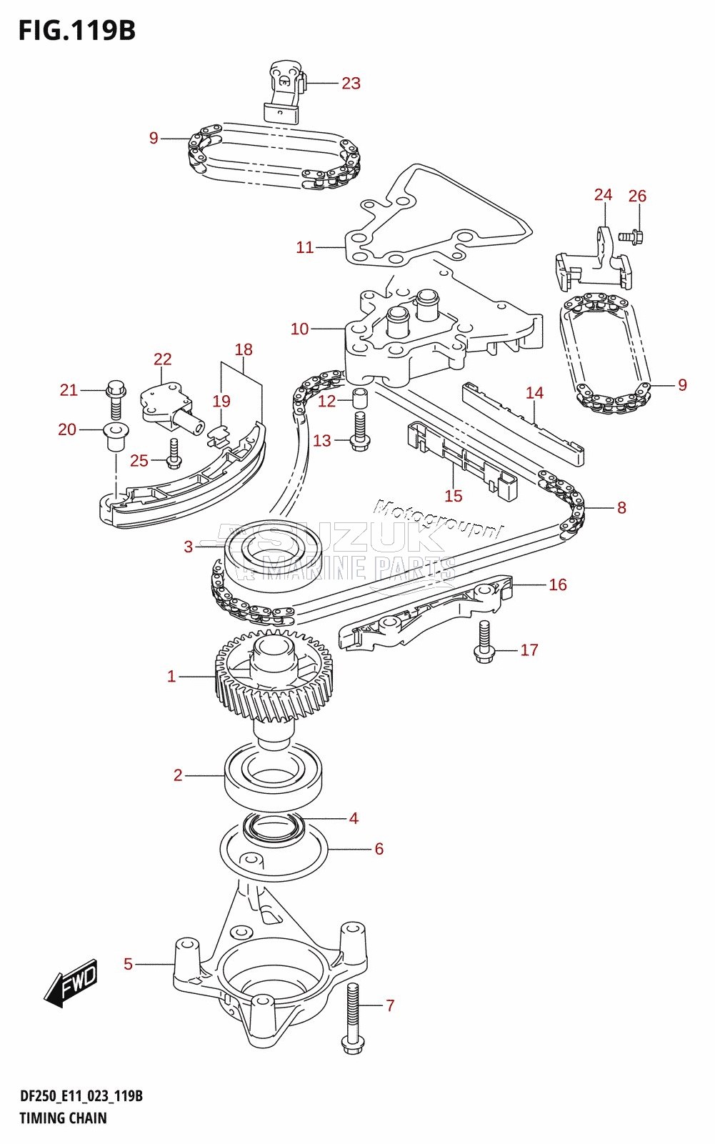 TIMING CHAIN (DF250ST)