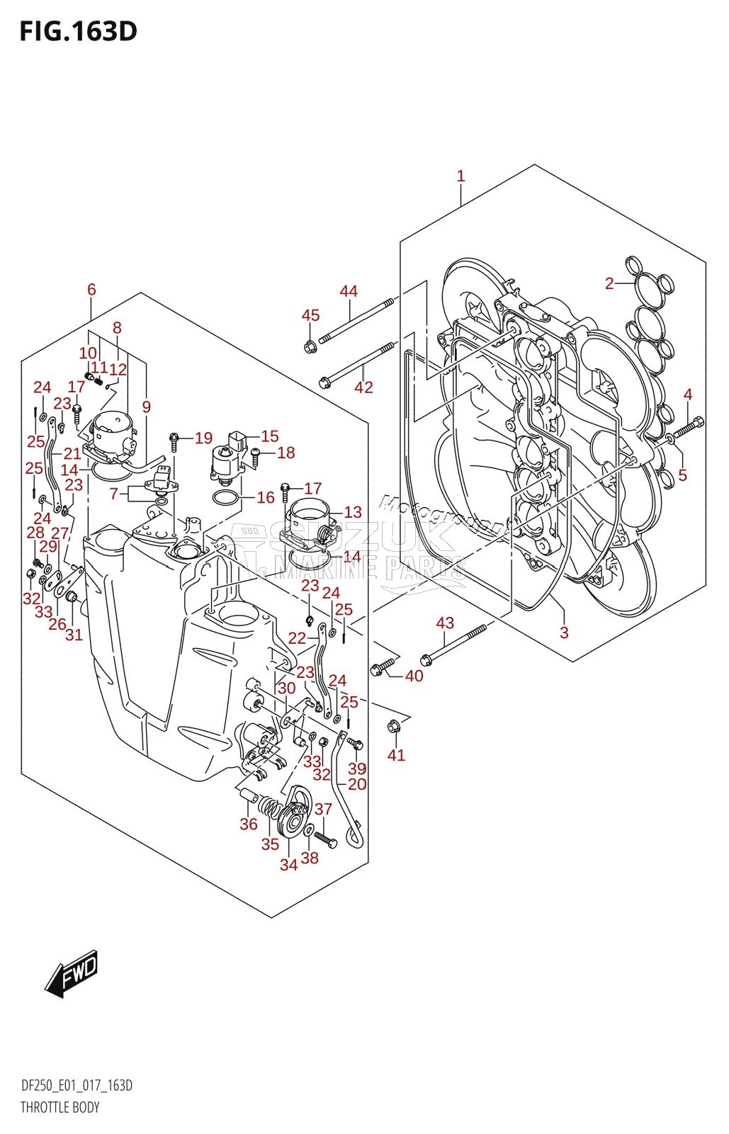 THROTTLE BODY (DF200Z:E40)