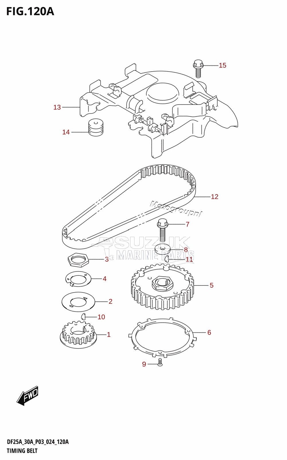 TIMING BELT