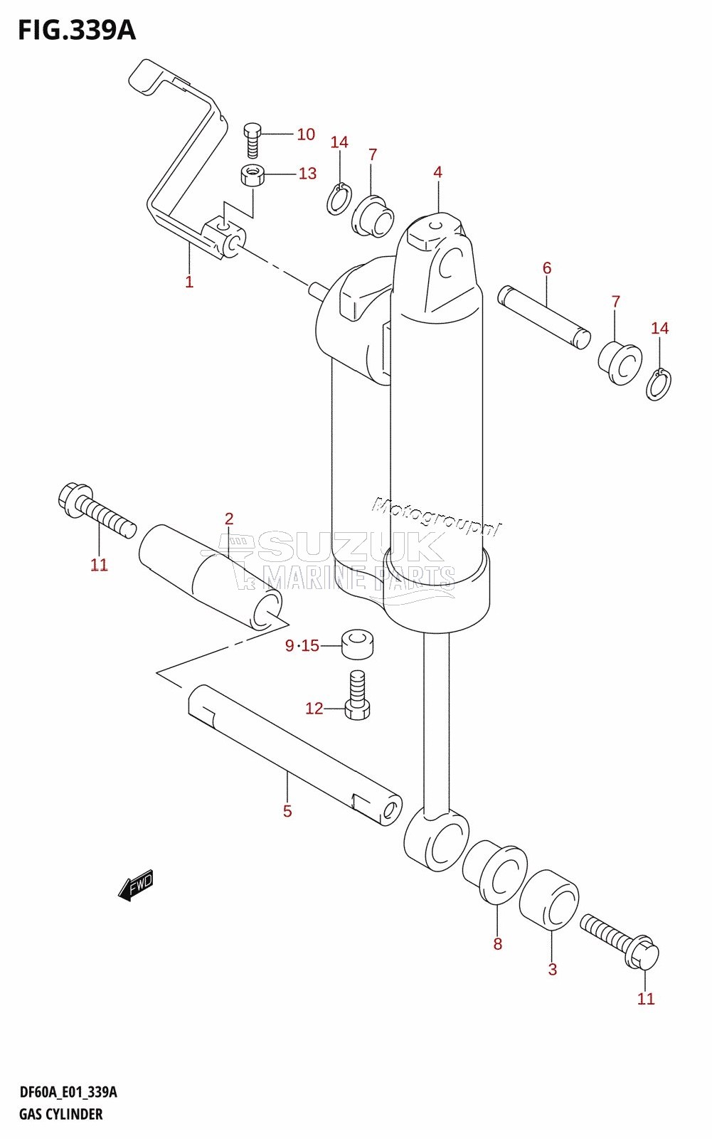 GAS CYLINDER (DF40AQH,DF60AQH,DF60AWQH)