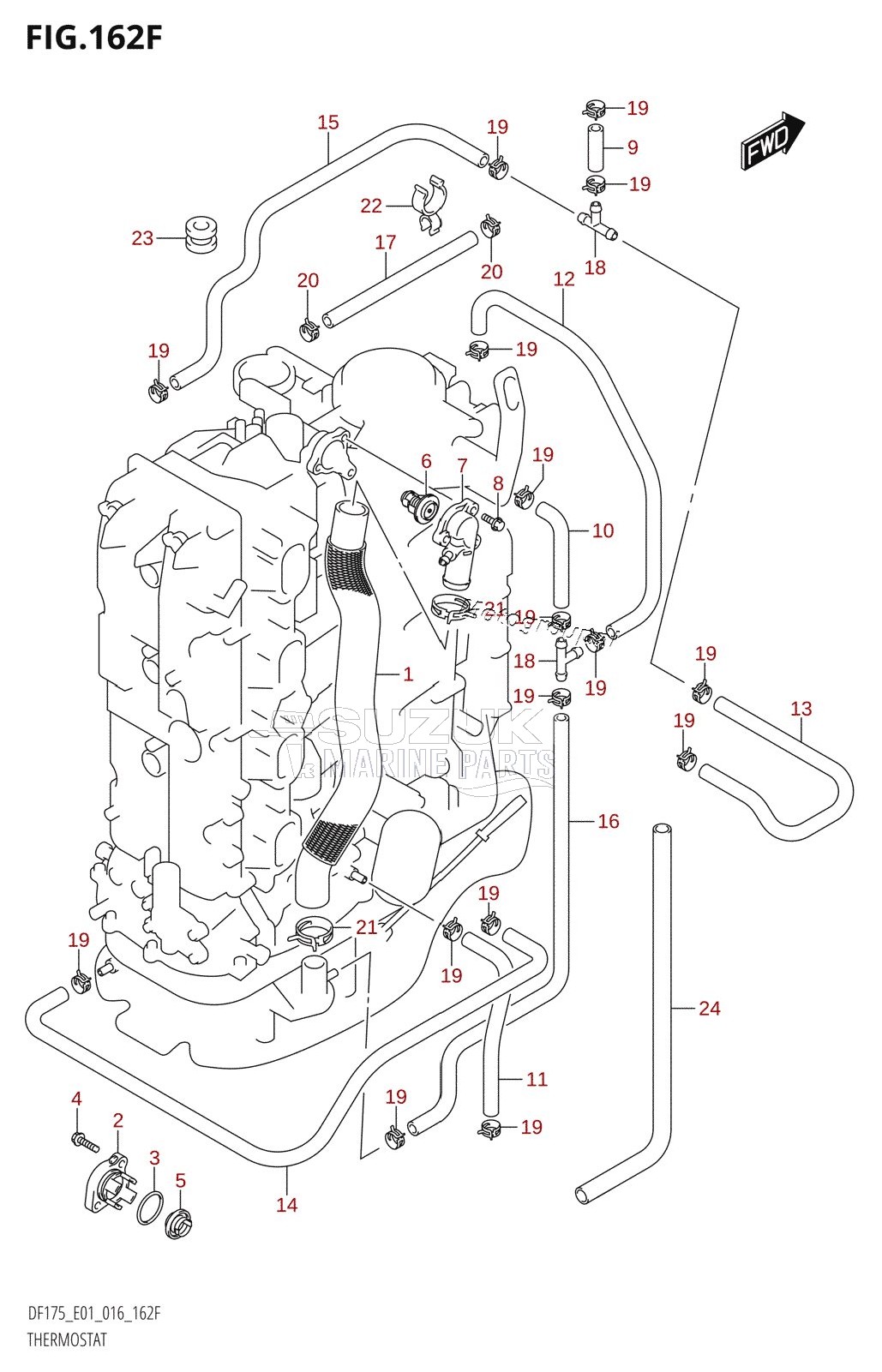 THERMOSTAT (DF150Z:E40)