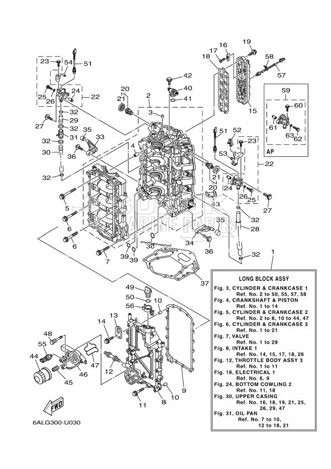 CYLINDER--CRANKCASE-1