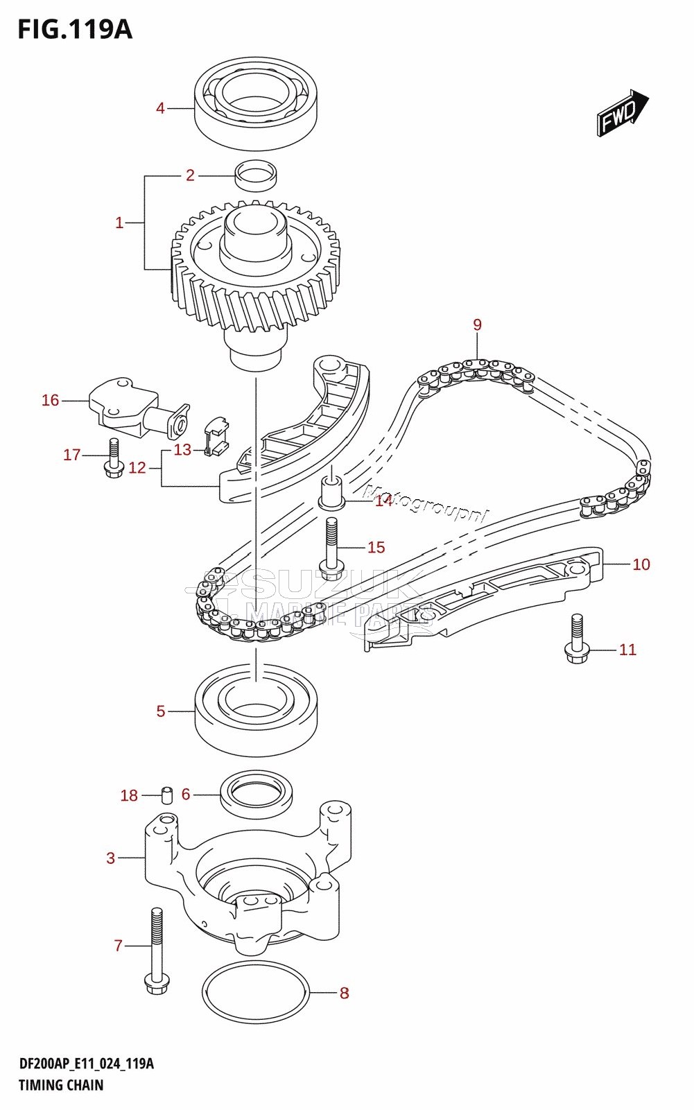 TIMING CHAIN