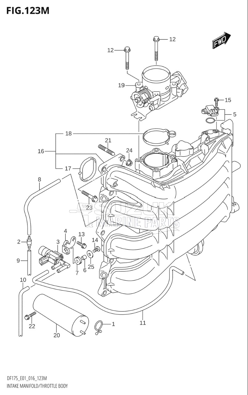 INTAKE MANIFOLD / THROTTLE BODY (DF175TG:E40)