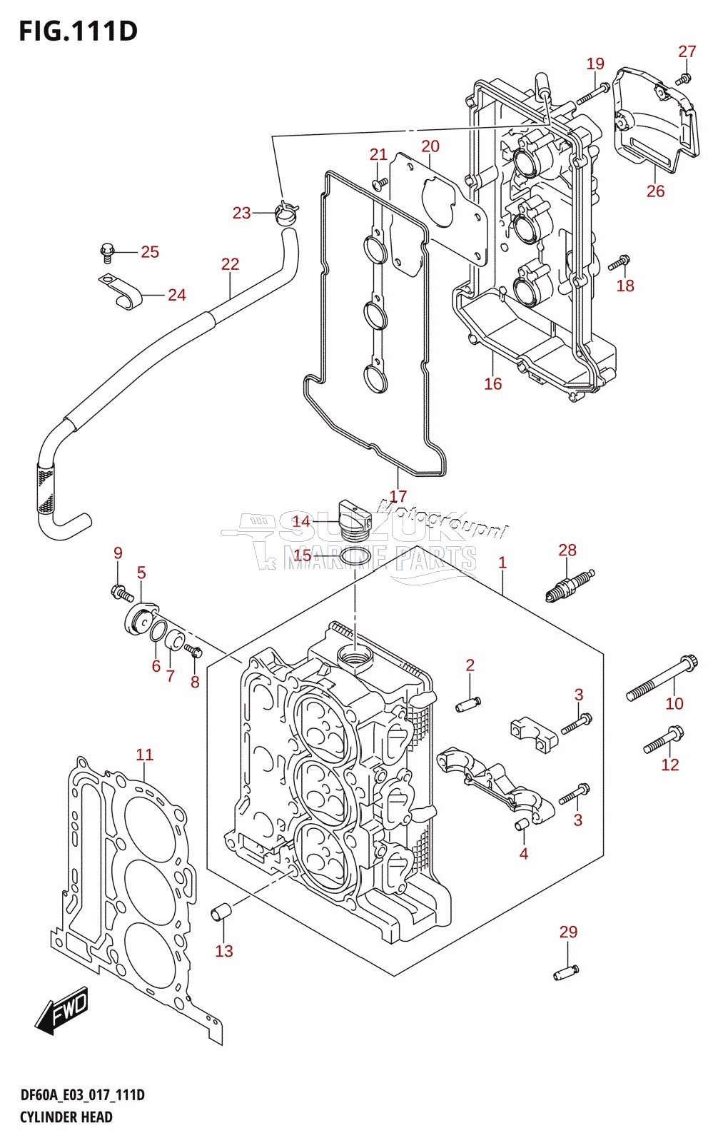 CYLINDER HEAD (DF50AVT:E03)