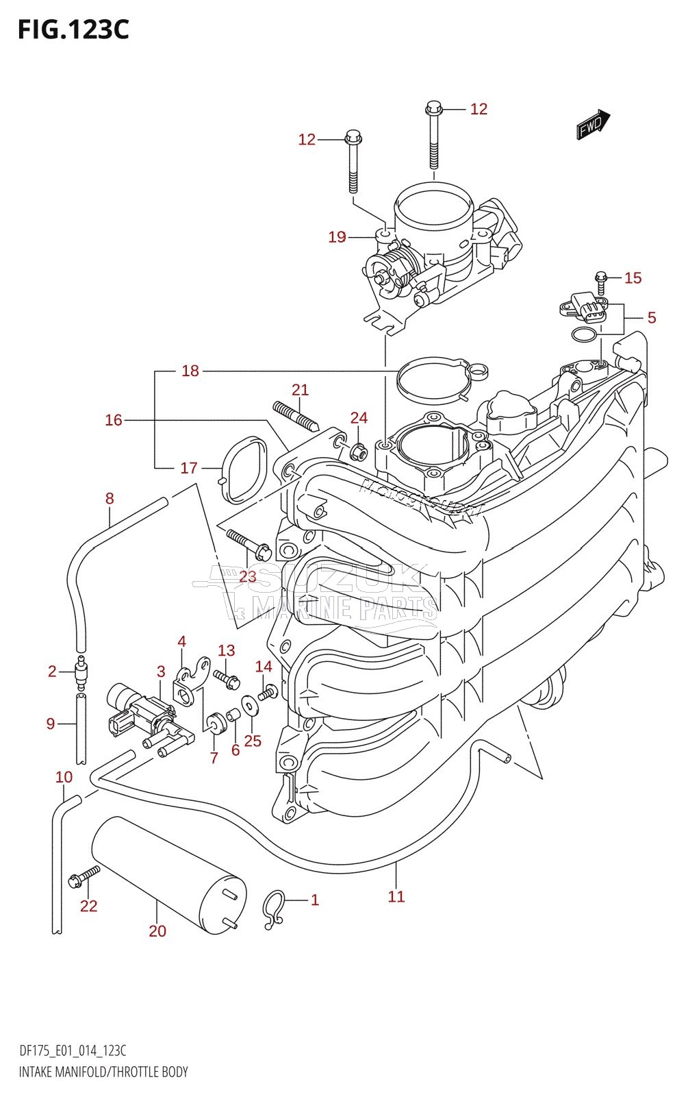 INTAKE MANIFOLD /​ THROTTLE BODY (DF150TG:E01)