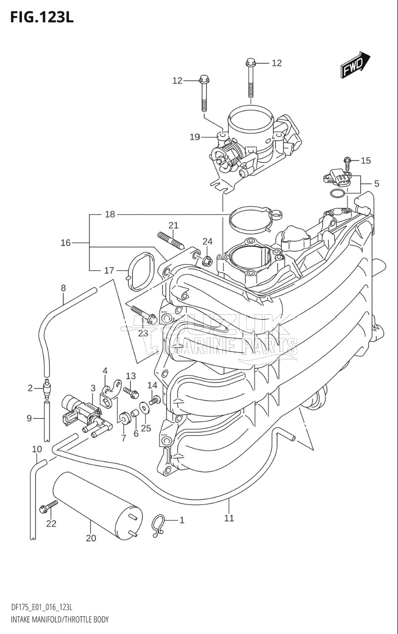 INTAKE MANIFOLD / THROTTLE BODY (DF175TG:E01)