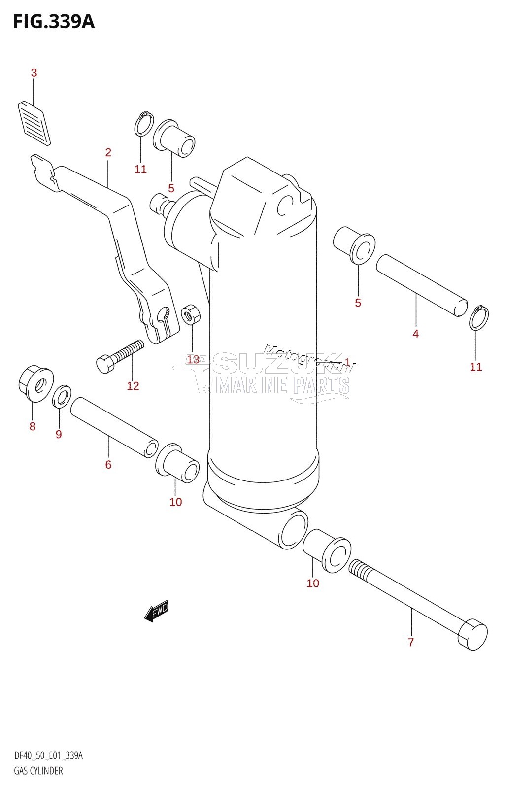 GAS CYLINDER ((DF40QH,DF50QH):(X,Y))