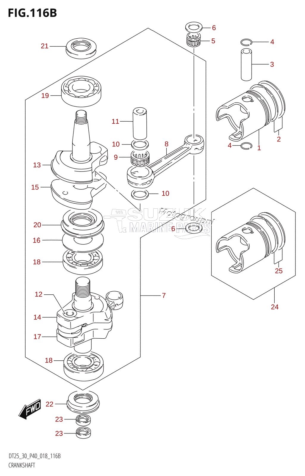 CRANKSHAFT (DT30,DT30R)