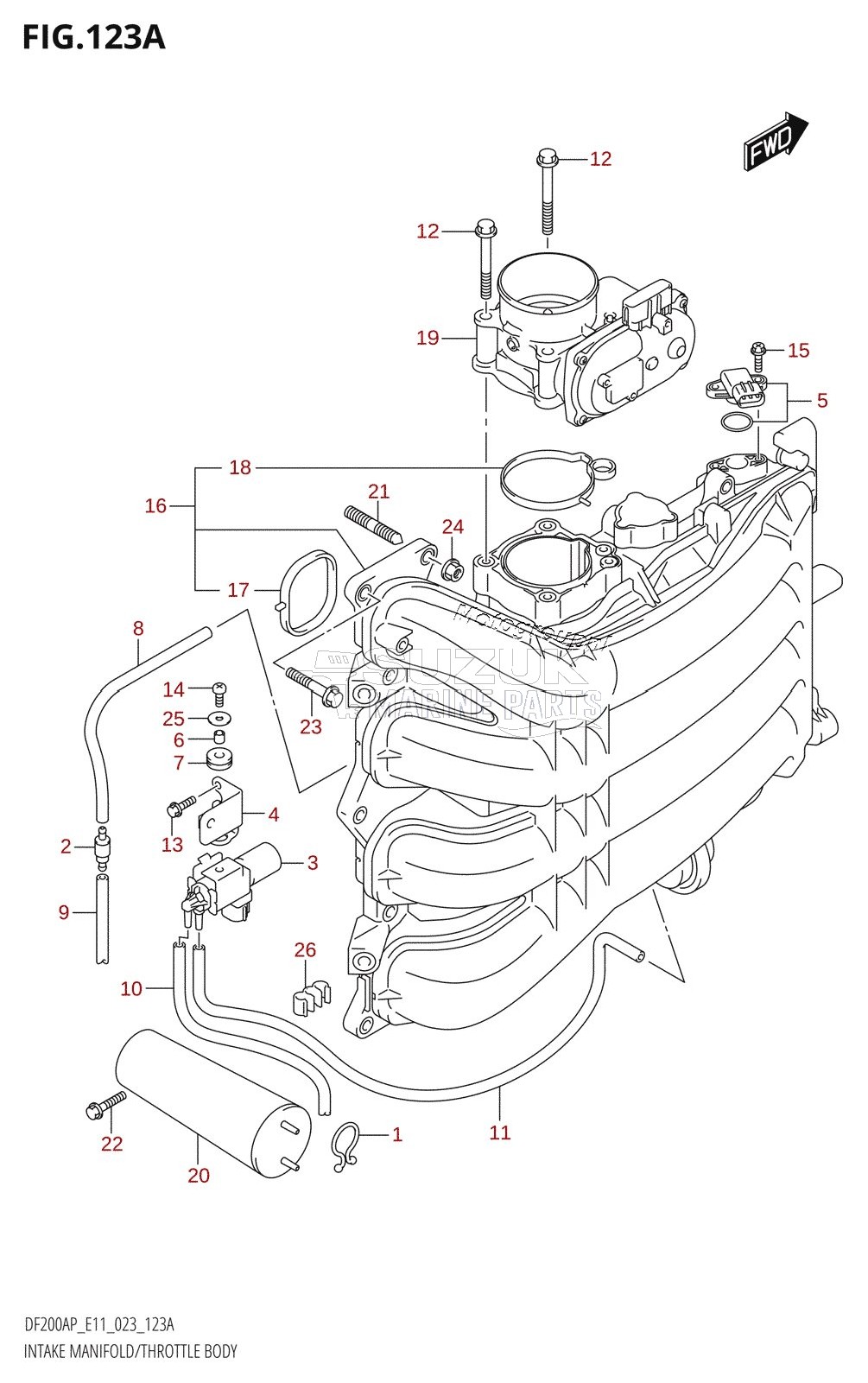 INTAKE MANIFOLD /​ THROTTLE BODY (020,021)