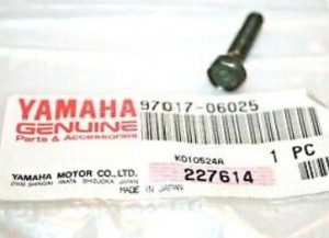 Product image: Yamaha - 970170602500 - BOLT, HEXAGON 